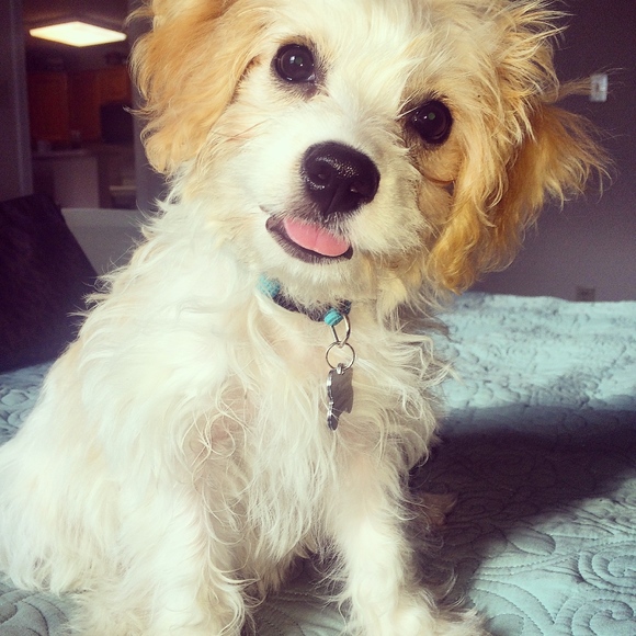 Meet your Posher, Christina - Picture 4 of 7